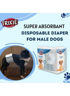 Trixie Disposable Diapers For Male Dogs - (12Pcs, L-Xl) | Non-Woven Fabric, Leak-Proof, Ultra-Absorbant Purpose | Daily And Travelling Purpose | Diaper Pants With Free Key Ring - pzsku/ZDFADACA9BD0E688B799EZ/45/_/1728309131/7ab41609-ce58-4a7b-9b8f-01a5873c9557