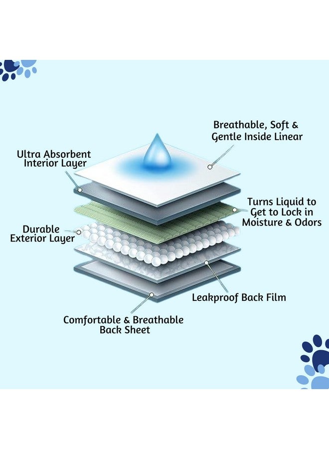 Trixie Disposable Diapers For Male Dogs - (12Pcs, L-Xl) | Non-Woven Fabric, Leak-Proof, Ultra-Absorbant Purpose | Daily And Travelling Purpose | Diaper Pants With Free Key Ring - Image 5