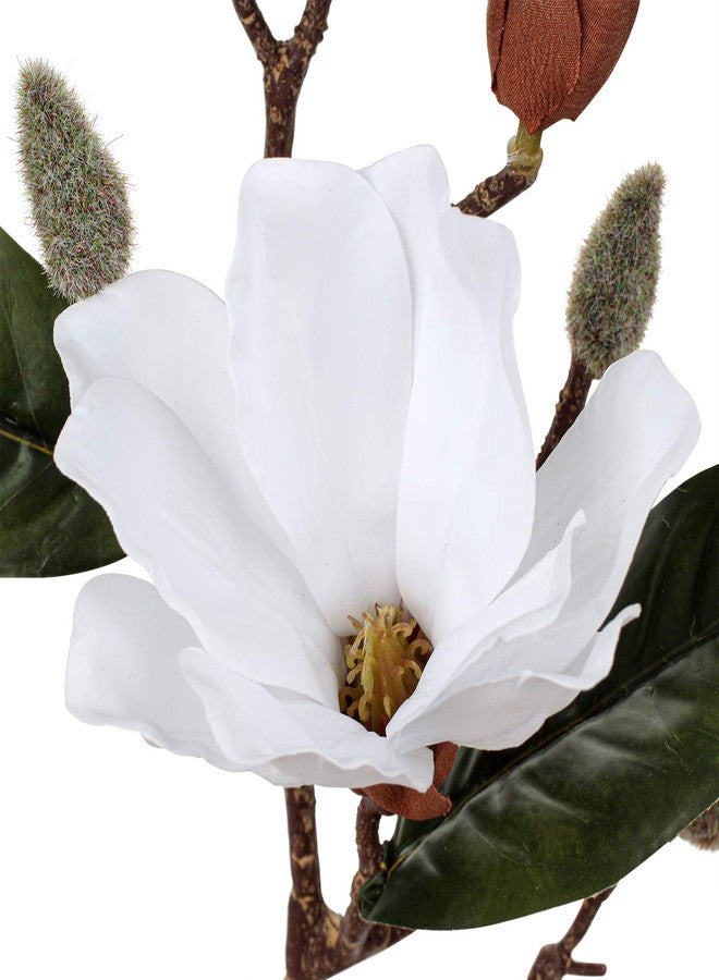 DILATATA Magnolia Artificial Flowers Stems 17.7" Real Touch Branch for Office Vase Table Centerpiece - Home Decor Fake Flowers Beige White - 5pcs - Image 4