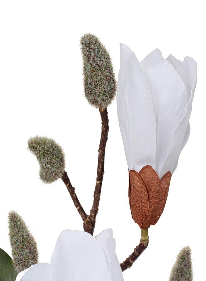 DILATATA Magnolia Artificial Flowers Stems 17.7" Real Touch Branch for Office Vase Table Centerpiece - Home Decor Fake Flowers Beige White - 5pcs - Image 5
