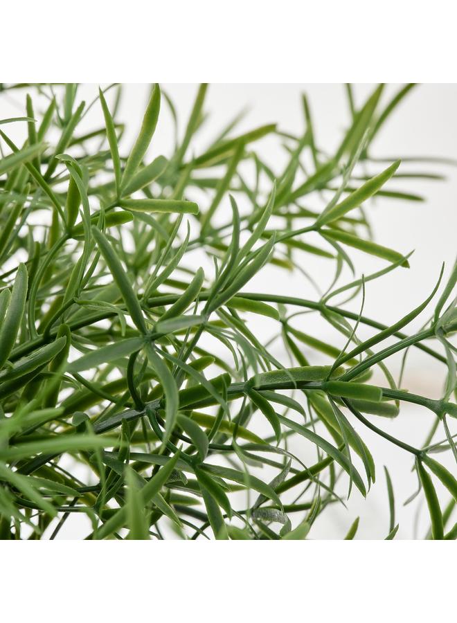 إيروريكس نبات اصطناعي في وعاء، داخلي/خارجي، هليون/معلق، 12 سم - Image 3