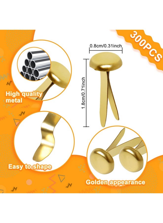 Hapy Shop Paper Fasteners,Medium 3/4-Inch Brass Plated Scrapbooking Brads Round Metal Brads For Crafts Making Diy,300 Pack - Image 1
