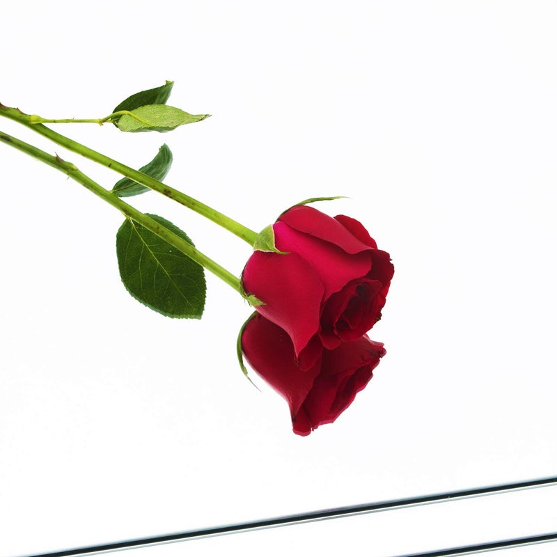 Ruomeng Full Length Mirror Tiles - 12 Inch x 8Pcs Frameless Wall Mirror Full Body Mirror for Home Gym Vanity Bedroom, Living Room - Image 4