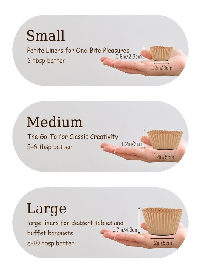 qiqee 300PCS Gradient Cupcake Liners Medium Cupcake Cups 6 Designs Cupcake Papers Baking Cups Cupcake Wrappers (Standard Size) - Image 5