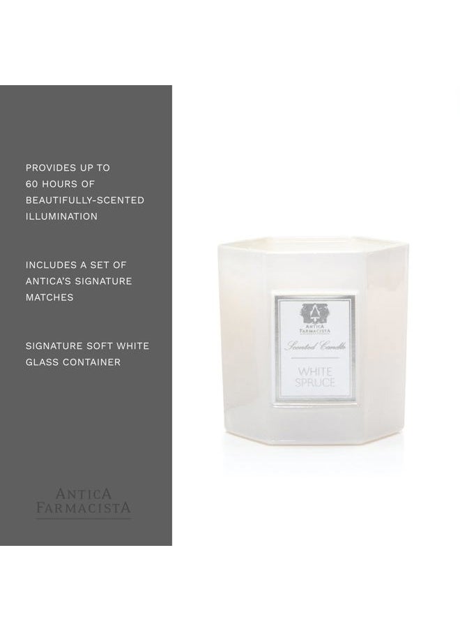 Antica Farmacista - White Spruce 9 oz Candle - Image 1