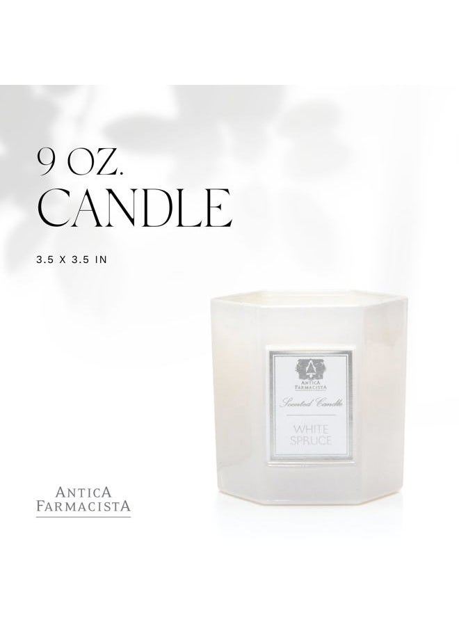 Antica Farmacista - White Spruce 9 oz Candle - Image 1