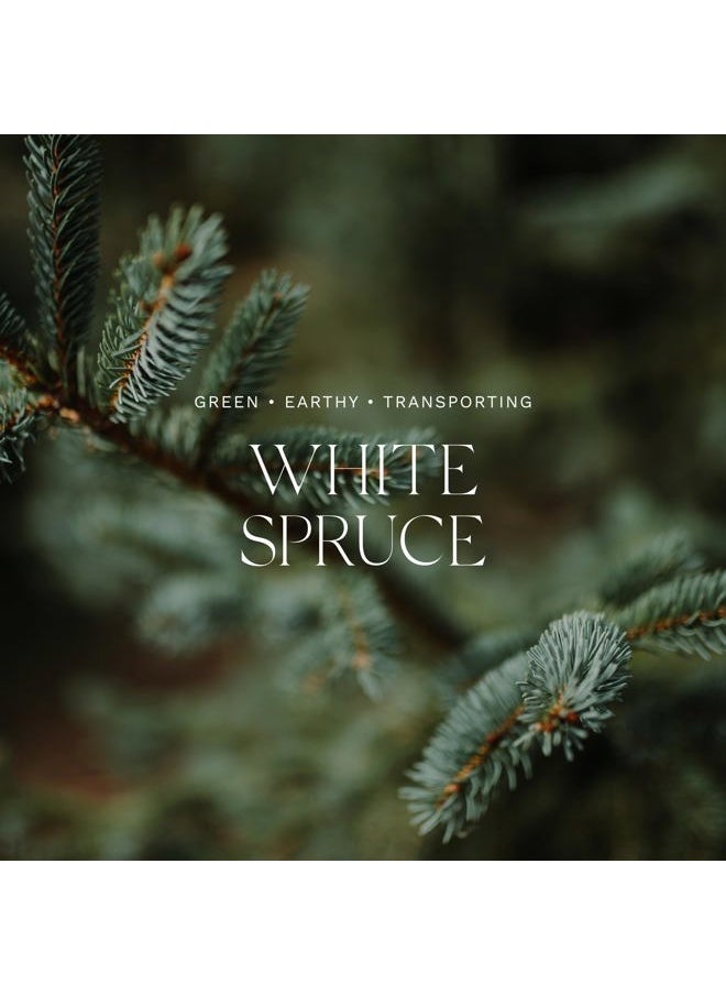 Antica Farmacista - White Spruce 9 oz Candle - Image 1