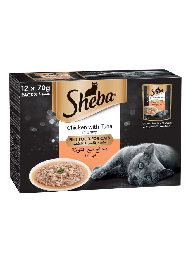 Sheba طعام فاخر للقطط دجاج مع تونة في صلصة طعام رطب للقطط