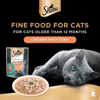 Sheba Premium Loaf Chicken with Tuna Cat Food, 12 Pack of 70g - view 2