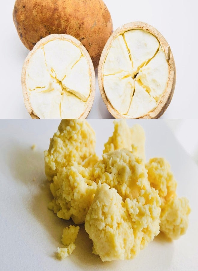 Oslove Organics Cupuacu butter 16 oz-Pure and Natural | Fresh, Rich and Creamy in DIY mixes | Vegan butter | Use for whipped body butters, salves, lotions & soaps. (16 oz) - Image 4