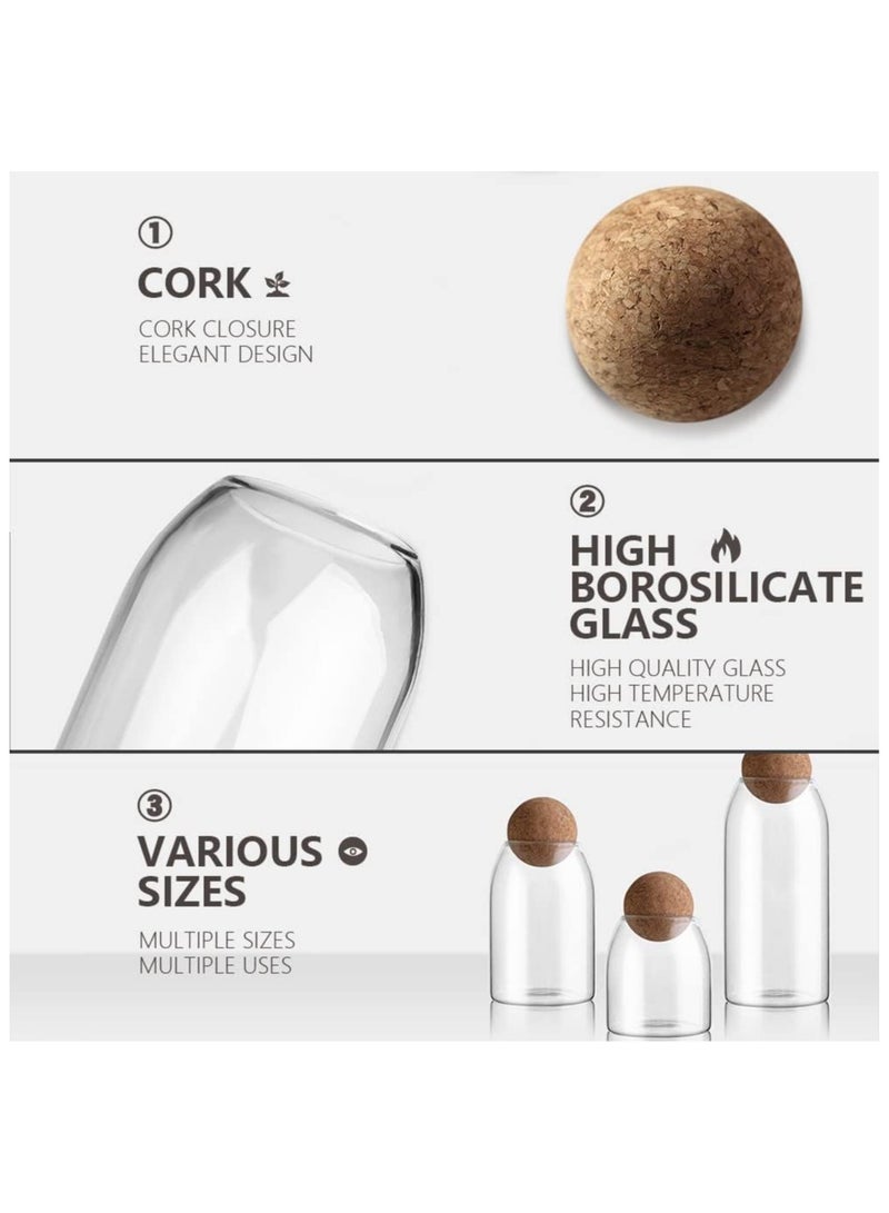 بلومنغ تايم 3 × برطمانات تخزين زجاجية، برطمان زجاجي من البورسليكات، برطمانات توابل مع سدادة من الفلين، للتوابل والسكر والقهوة والبسكويت والحلويات - Image 3