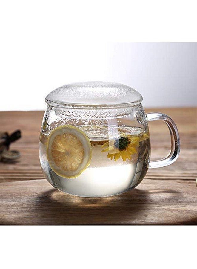 Hari HARI 13 Ounce Tea Cups Kits Loose Tea-Leaf Brewing System, Thickened Glass Cups with Tea Infuser Basket and Lid, Simple Filtration Teacups Great for Family Daily (C Shape Lid)  - Image 2