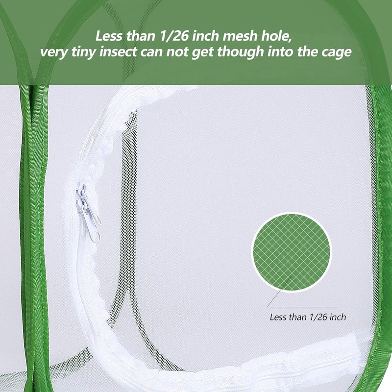RESTCLOUD 12" Butterfly Habitat Insect Cage Caterpillars Enclosure Pop-up 12 x 12 x 12 Inches Tall 6 Mesh Panels - Image 3
