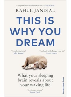 This Is Why You Dream What Your Sleeping Brain Reveals About Your Waking Life 