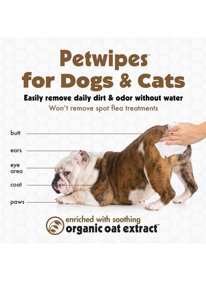 بيتكين مناديل Petkin Pet للكلاب والقطط، 200 منديل (كبير) - مناديل الشوفان للحيوانات الأليفة للكلاب والقطط - تهدئ البشرة الجافة والحكة وتنظف الأذنين والوجه والأرداف والجسم ومنطقة العين - عبوتان من 100 منديل - Image 3