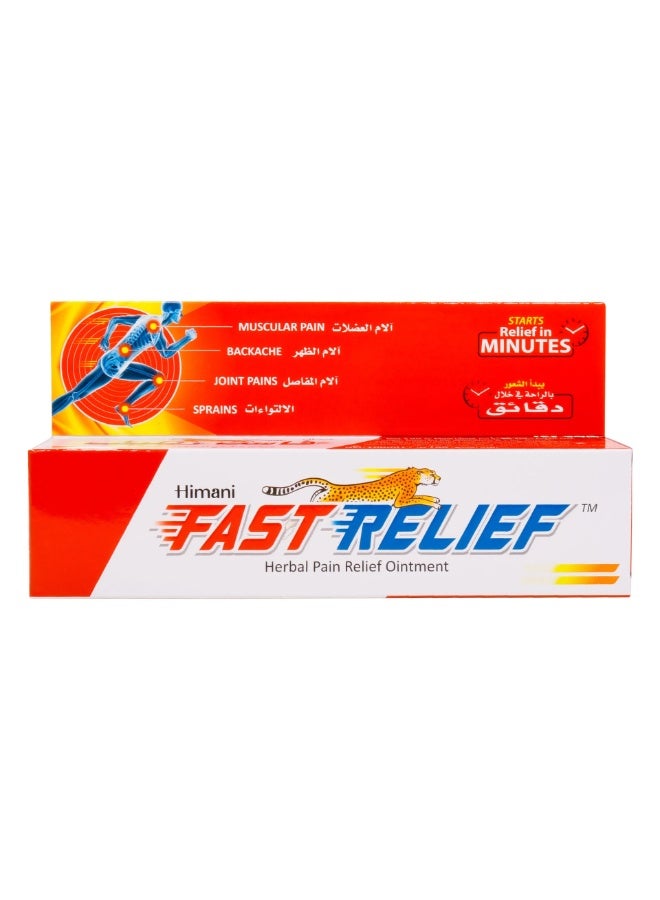Himani Fast Relief Herbal Pain Relief Ointment - Image 1