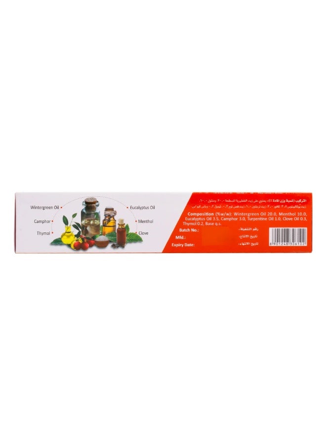 Himani Fast Relief Herbal Pain Relief Ointment - Image 2