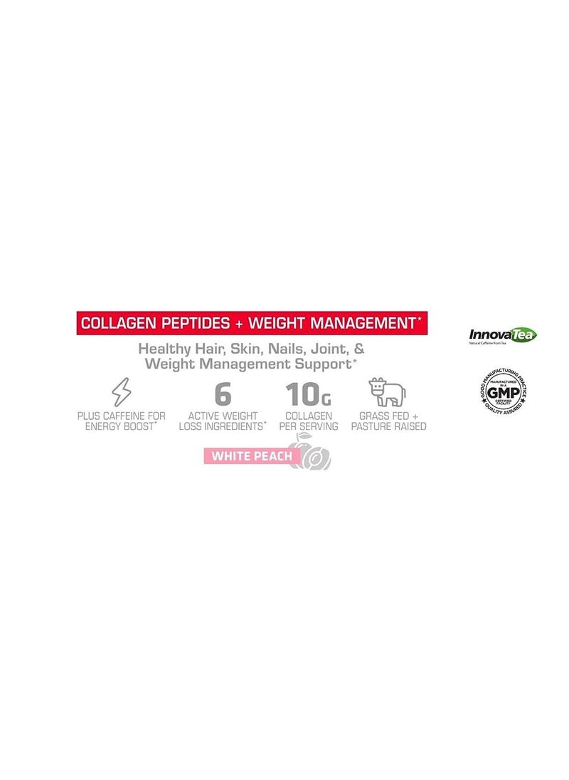 USN - Weight Loss Collagen Mixed Berry 15 Servings (7.4 oz) - Image 1