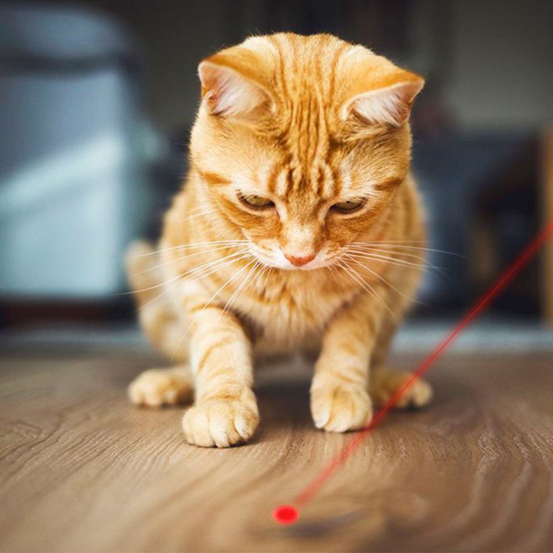Tease Cat Pen Flashlight Toy: Silver Stainless Steel, 3 Lighting Modes, USB Charging - Easy One-Hand Operation, Portable Clip & Lanyard for Cat Owners - Image 4