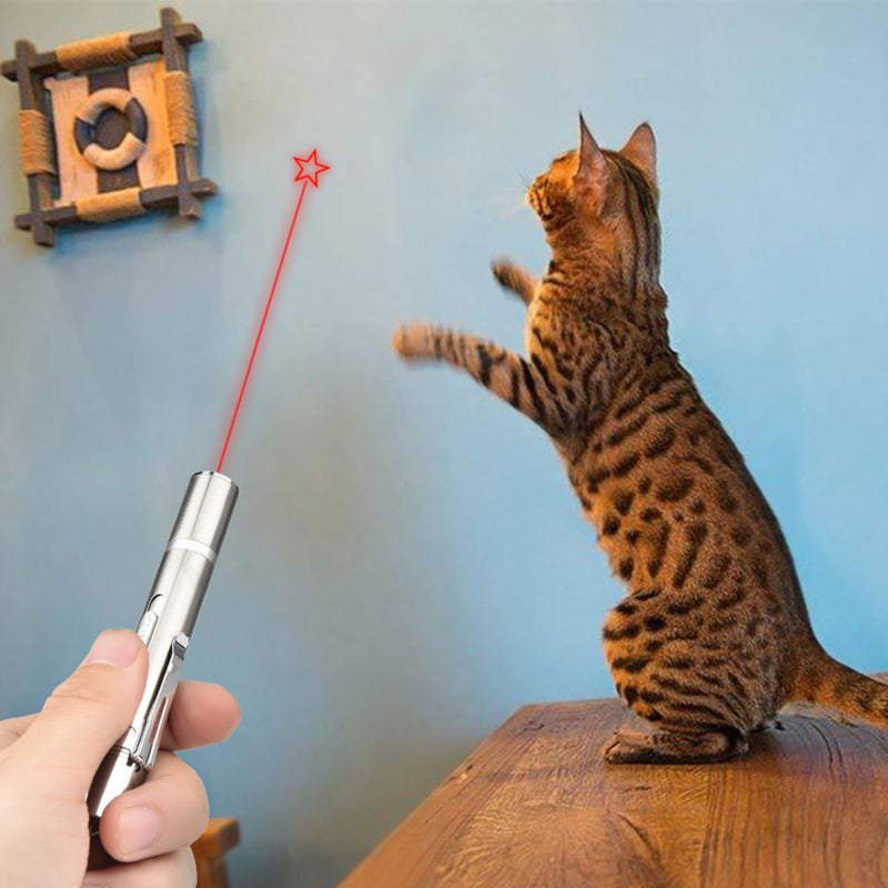 Tease Cat Pen Flashlight Toy: Silver Stainless Steel, 3 Lighting Modes, USB Charging - Easy One-Hand Operation, Portable Clip & Lanyard for Cat Owners - Image 3