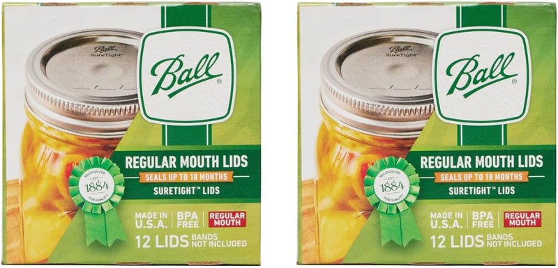 Ball Regular Mouth Mason Glass Jar Lids (24-Count), Silver - Image 1