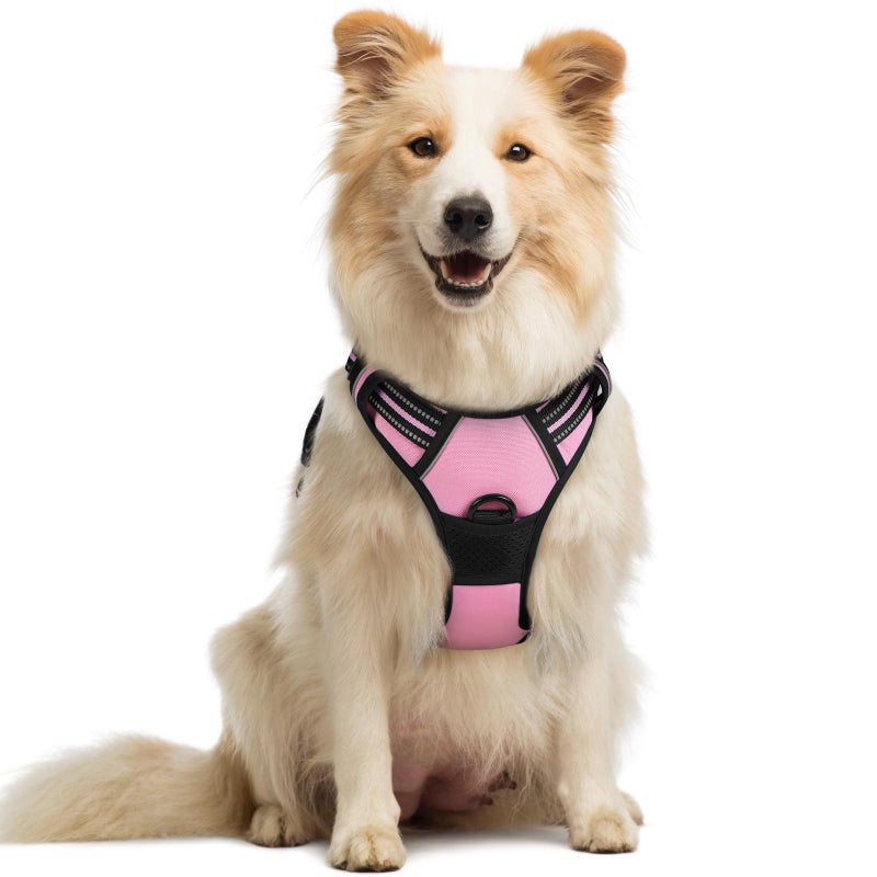 rabbitgoo Dog Harness No Pull with 2 Leash Clips, Adjustable Soft Padded, Reflective Oxford No Choke Pet Vest with Easy Control Handle for Medium Sized Dogs, Pink, M - Image 1