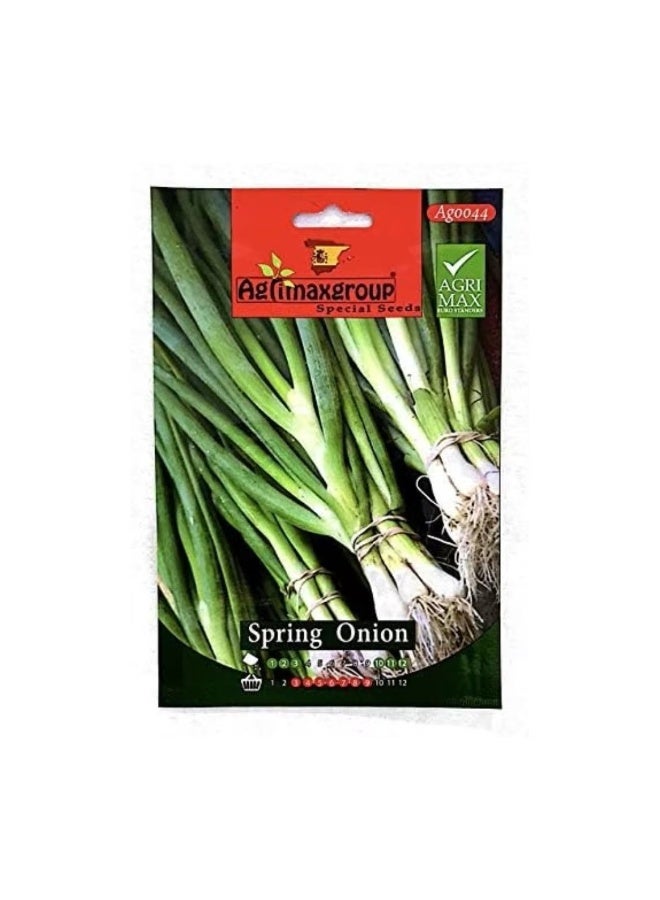 Spring Onion Seeds