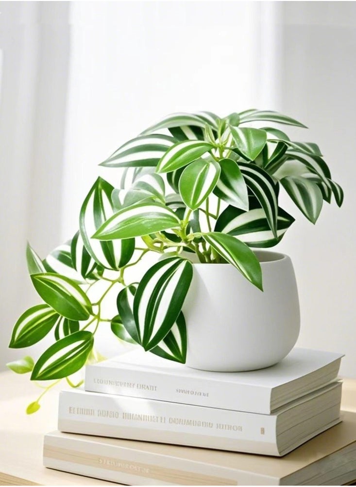 Kutis 1-Piece Simulation Potted Decorative Artificial Bonsai Plant Green Leaf Home Bedroom Living Room Desktop Decoration Green/White 10x15.5 cm  - Image 3