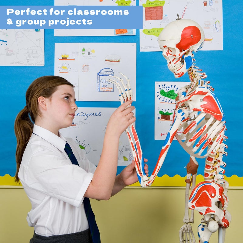 ArtSkills 11â€ x 14â€ Poster Board, Heavyweight White Poster Boards for Vision Boards, School Projects, Presentations, Arts and Crafts, 12-Pack - Image 3