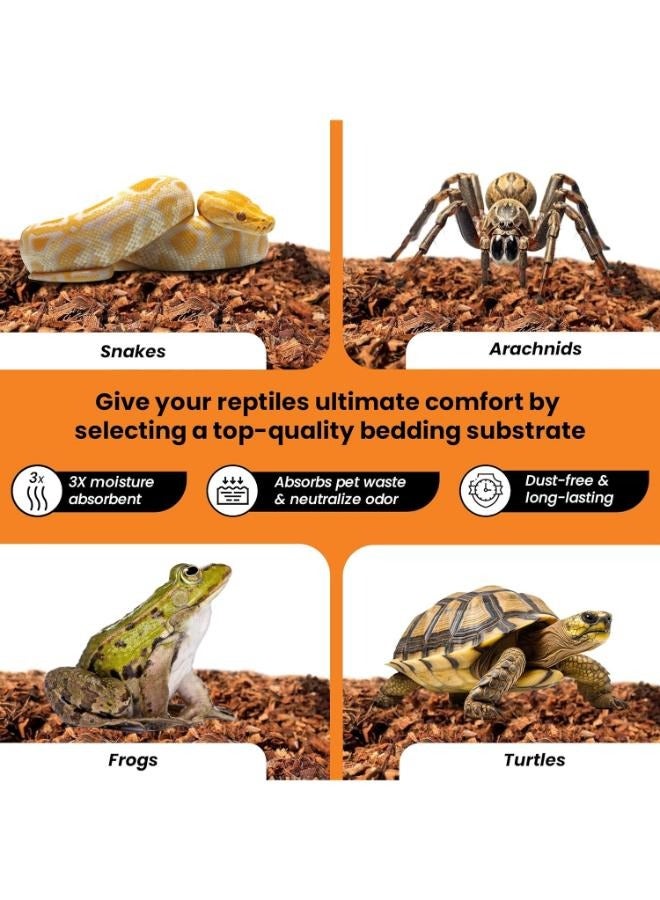 قشر جوز الهند لفرش الزواحف، رقائق جوز الهند، ركيزة تيراريوم 70 جرام - Image 3