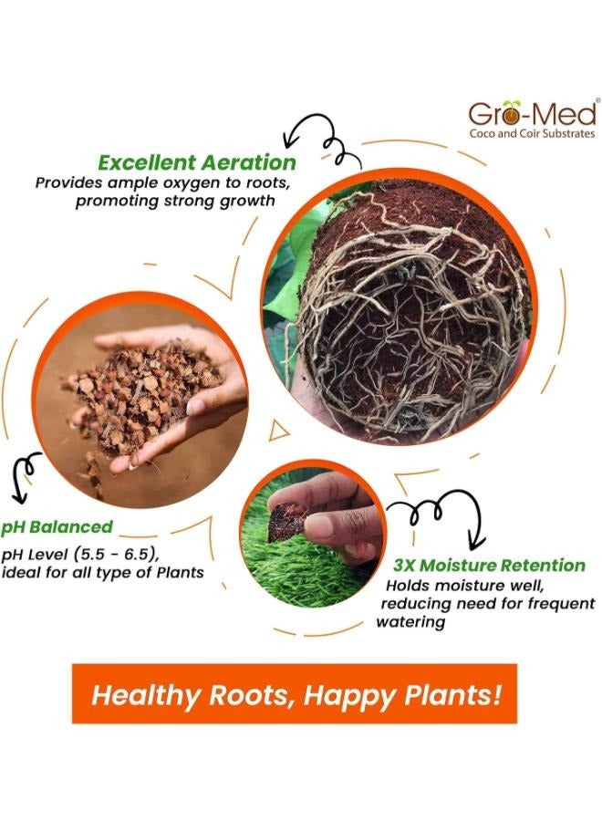 قشر جوز الهند لفرش الزواحف، رقائق جوز الهند، ركيزة تيراريوم 70 جرام - Image 4