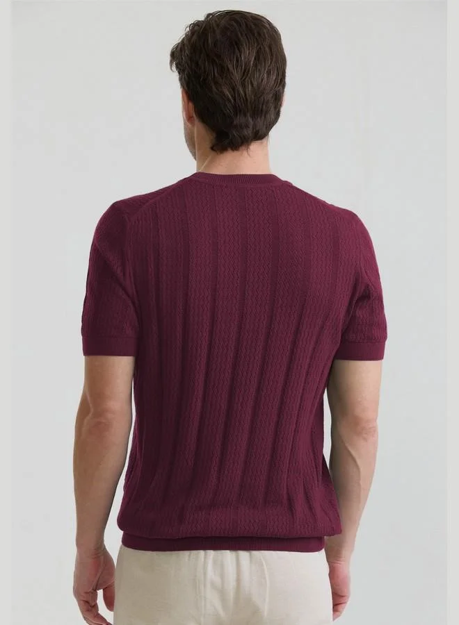 FELIX HARDY Bordeaux Men's 100% Cotton Knit Jersey T Shirt for Men | Best Price UAE