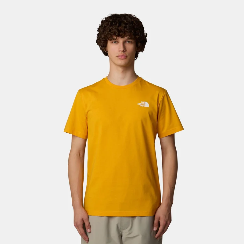 THE NORTH FACE Men's Redbox T-Shirt
