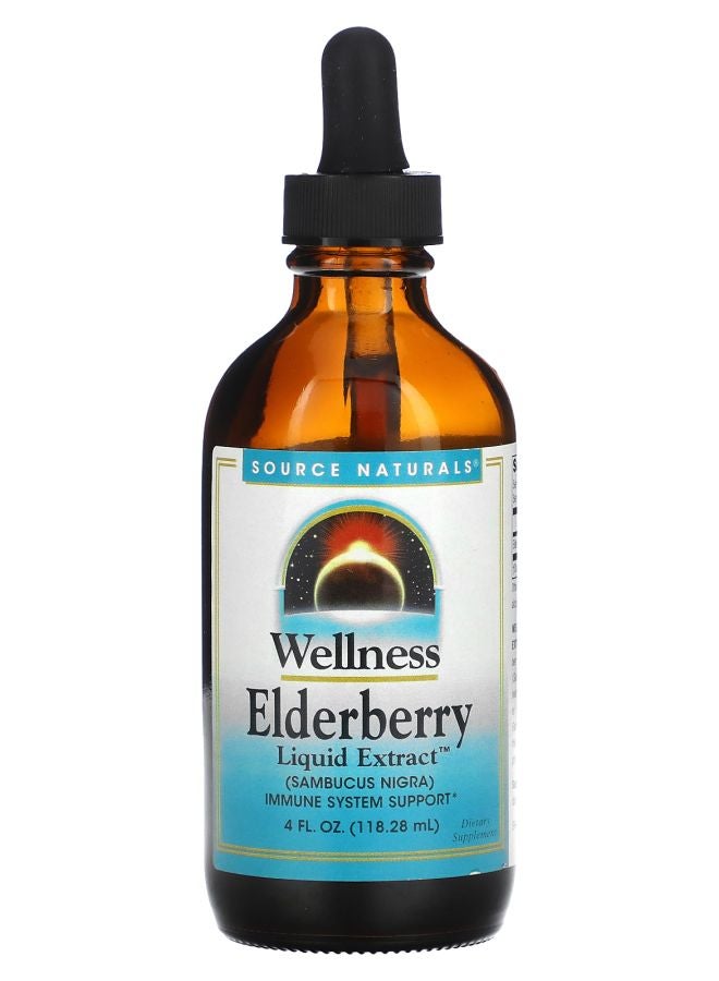 Wellness Elderberry Liquid Extract 4 fl oz (118.28 ml)