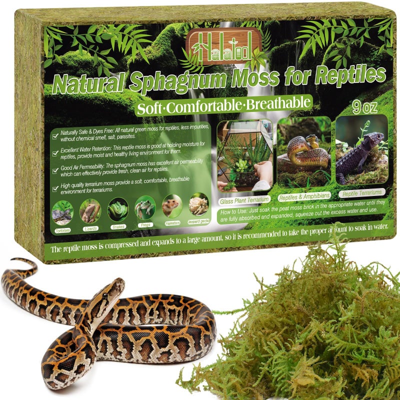 Halatool 9OZ Natural Sphagnum Moss for Reptiles- 14QT Green Moss for Terrarium Plants Long Fiber Reptile Moss for Leopard Gecko Snake Hamsters Tortoises Frogs Lizards Salamanders - Image 1