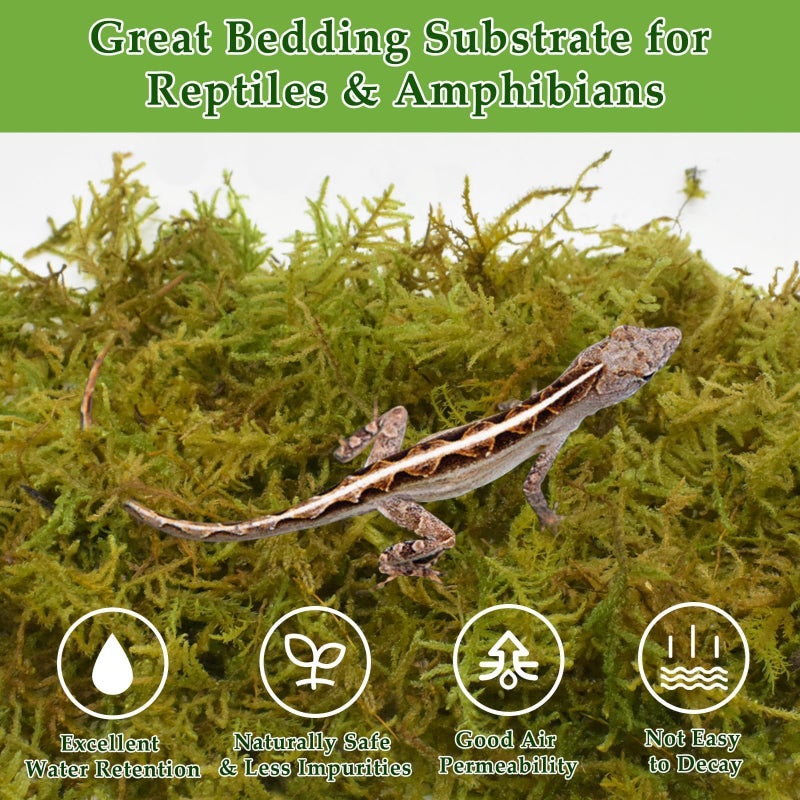 Halatool 9OZ Natural Sphagnum Moss for Reptiles- 14QT Green Moss for Terrarium Plants Long Fiber Reptile Moss for Leopard Gecko Snake Hamsters Tortoises Frogs Lizards Salamanders - Image 3