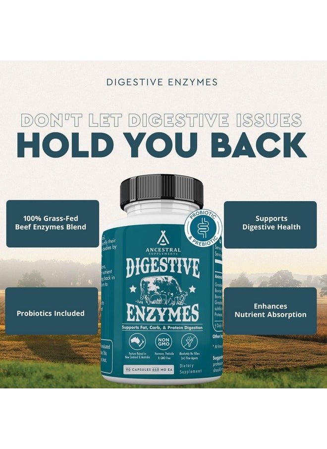 Ancestral Supplements Digestive Enzymes for Women & Men, 90 Capsules, with Probiotics and Grass Fed Beef Organs, Supports Gut Health, Digestive Health & Nutrient Absorption, Allergen Free, Non GMO - pzsku/ZDFC5A7798A1FD3C80CECZ/45/_/1735907894/92f0ff0c-0e2d-4903-a5e7-33185f08a856