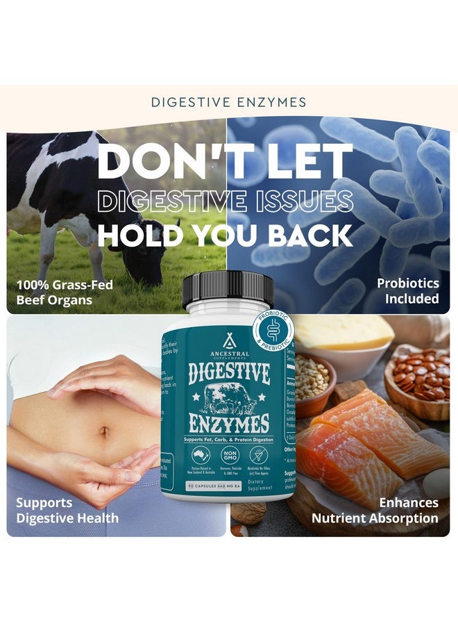 Ancestral Supplements Digestive Enzymes for Women & Men, 90 Capsules, with Probiotics and Grass Fed Beef Organs, Supports Gut Health, Digestive Health & Nutrient Absorption, Allergen Free, Non GMO - pzsku/ZDFC5A7798A1FD3C80CECZ/45/_/1735907897/d4581e42-d2a5-47d6-b8ba-2ebe104483bc