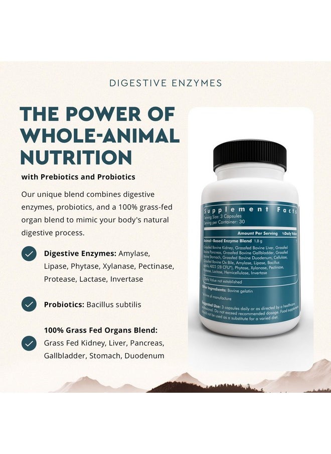 Ancestral Supplements Digestive Enzymes for Women & Men, 90 Capsules, with Probiotics and Grass Fed Beef Organs, Supports Gut Health, Digestive Health & Nutrient Absorption, Allergen Free, Non GMO - pzsku/ZDFC5A7798A1FD3C80CECZ/45/_/1735907901/58b4641b-9796-48e4-9cda-6b0d80ba9d8e