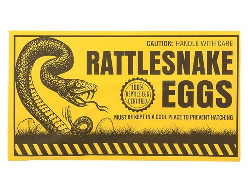 Rhode Island Novelty Joke Rattlesnake Egg Envelope, Set of 6