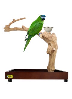 CHEWY BEAK Bird Stand Table Top Natural wooden Parrot Play Stand Indonesian Java wood Tree Perches with Stainless steel feeder small size  - Image 1