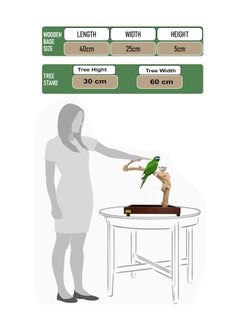 CHEWY BEAK Bird Stand Table Top Natural wooden Parrot Play Stand Indonesian Java wood Tree Perches with Stainless steel feeder small size  - Image 2