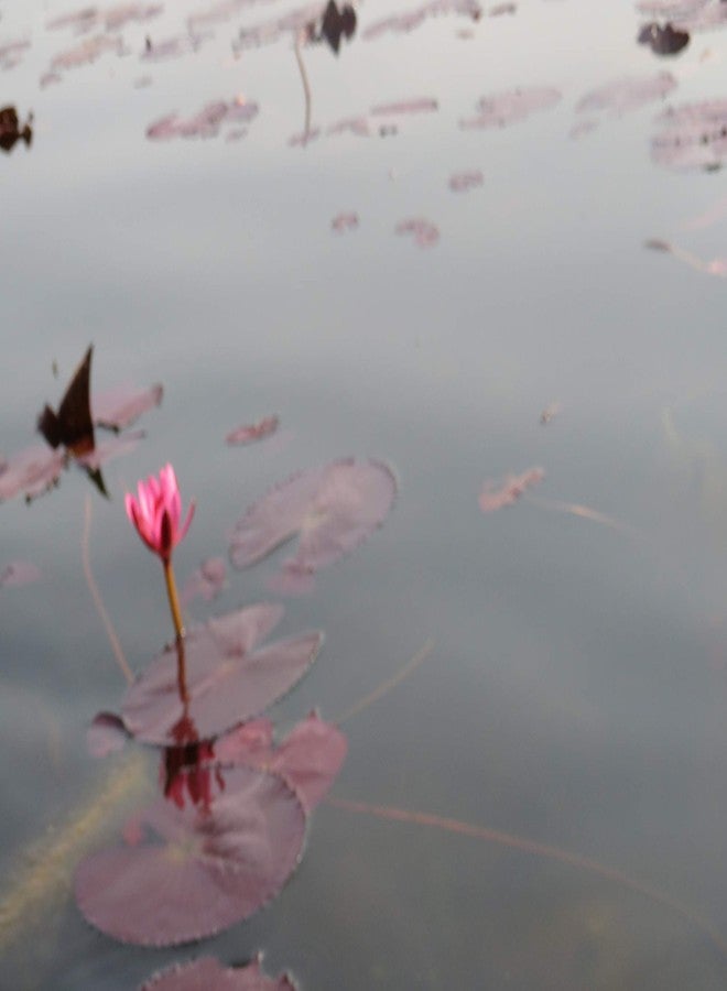 IMPRINT A5 Inkjet Glossy Photo Paper Pack of 100 Sheets 180 GSM Thick - Image 3