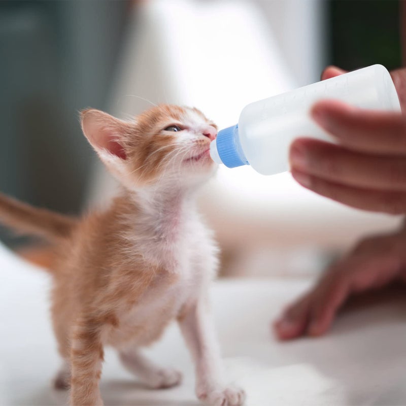 3Pcs Small Pet Nursing Bottles with Replacement Nipples for Kittens and Puppies - Image 5