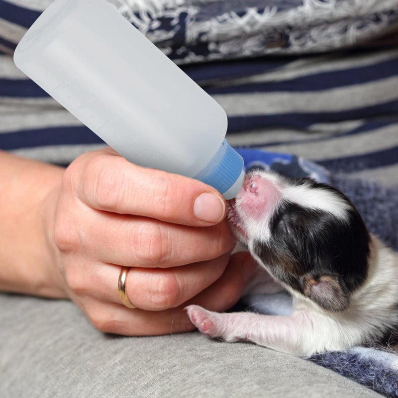 3Pcs Small Pet Nursing Bottles with Replacement Nipples for Kittens and Puppies - Image 4
