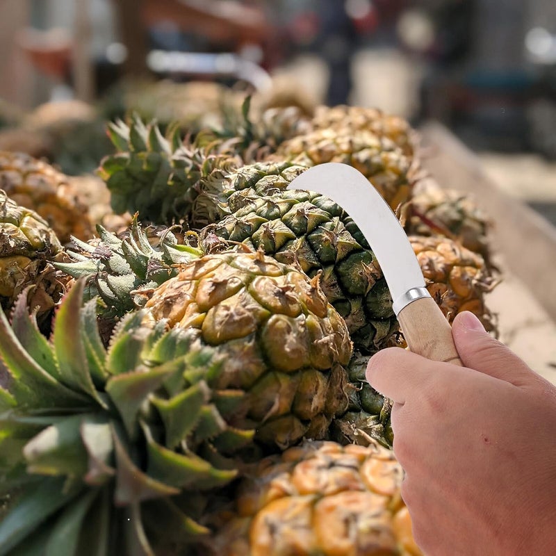 Ergonomic Wooden Handle Stainless Steel Fruit Knife Multifunctional Cutter for Pineapple and Tropical Fruits Compact Size - Image 5