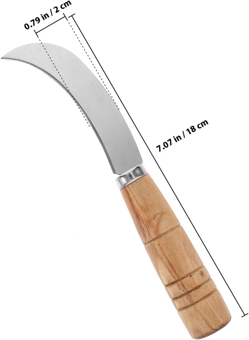 Ergonomic Wooden Handle Stainless Steel Fruit Knife Multifunctional Cutter for Pineapple and Tropical Fruits Compact Size - Image 2