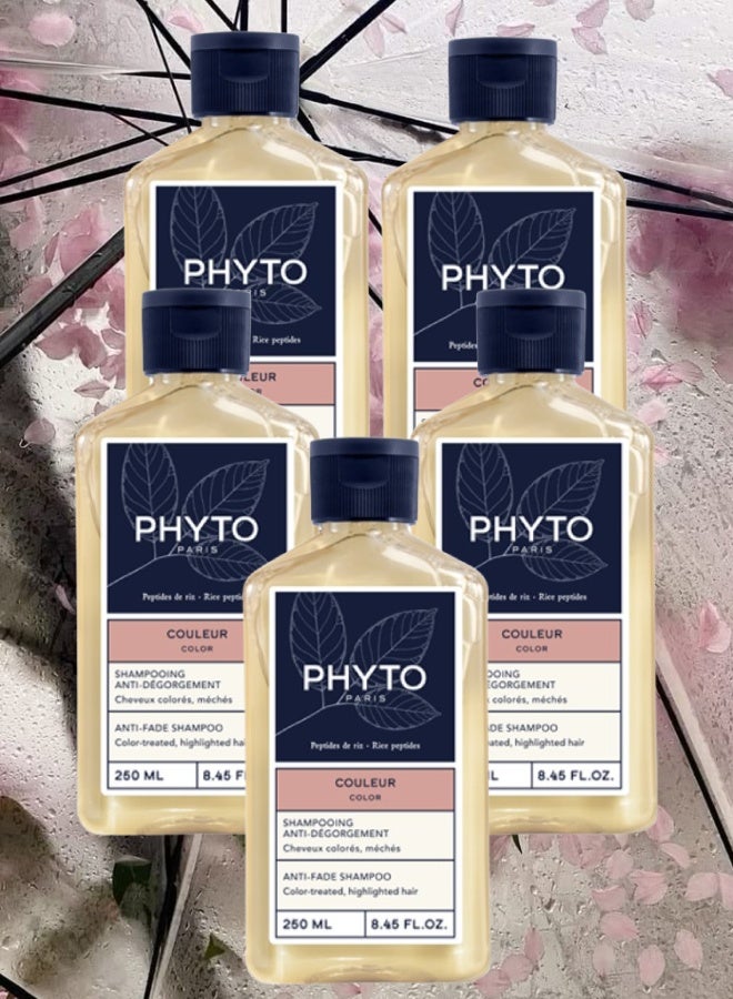 فيتو 5 قطع شامبو فيتو باريس المضاد للبهتان 250مل - Image 1