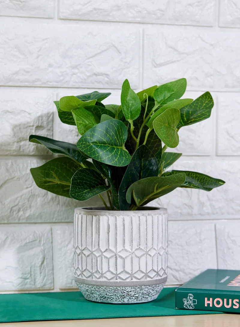 AURORA Medium Green Leaves In Cement Pot Grey In Mail Order Packaging