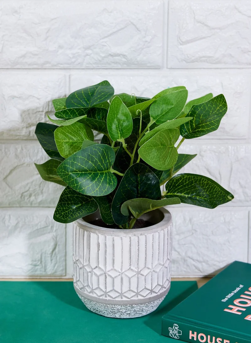 AURORA Medium Green Leaves In Cement Pot Grey In Mail Order Packaging